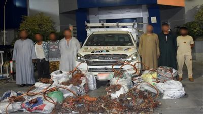 ضبط المتهمين بالتعدي على تاجر والاستيلاء على سيارة محملة بالخردة بالصف 