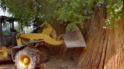 «مدينة الأقصر» تشن حملة لإزالة حالات التعدى على أراضي أملاك الدولة (صور)