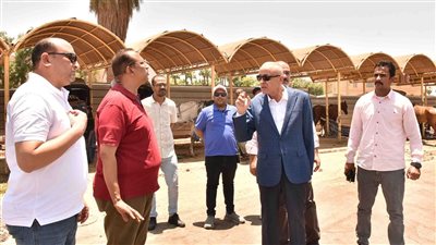 «عمارة» يتفقد مستوى نظافة وتجميل الشوارع بمدينة الأقصر 