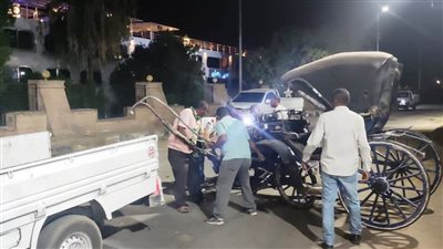 حملة مسائية لضبط عربات الحنطور المخالفة بمدينة أسوان وتشكيل لجنة عاجلة