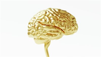 شركة OpenAI تنافس إيلون ماسك في تلك التقنية الخطيرة