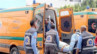 مصرع شخصين في حادث سير على الطريق الصحراوي بالأقصر