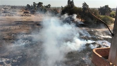 حريق هائل يلتهم 400 فدان كتان بقرية شبراملس في الغربية| صور