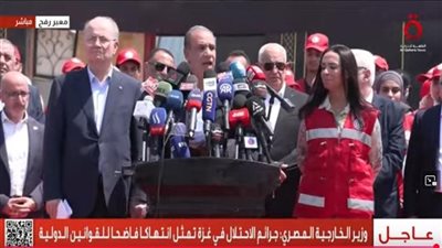 وزير الخارجية يطالب المجتمع الدولي بمواصلة الضغط على إسرائيل لوقف إطلاق النار في غزة