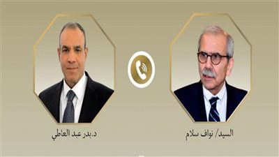 وزير الخارجية: مصر تدعم مؤسسات الدولة اللبنانية ووحدة أراضيها
