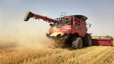 محافظ أسوان: موسم حصاد متميز لمحصول القمح