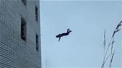 خلافات أسرية تنتهي بمأساة.. مصرع سيدة سقطت من الطابق الثاني بأوسيم