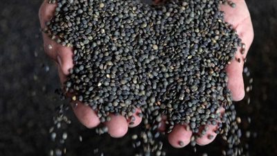 عادات يومية بسيطة تساعد على خفض مستوى الكوليسترول