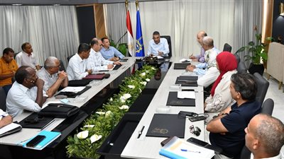 محافظ أسوان: الفترة الحالية تحتاج المزيد من المشاركة المجتمعية لإنهاء المشروعات المتبقية