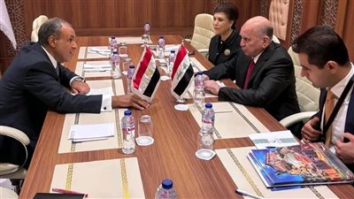 لقاء ثنائي بين وزير الخارجية ونظيره العراقي 