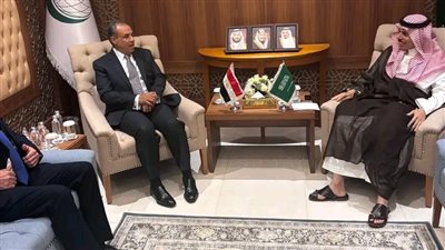 تفاصيل لقاء وزير الخارجية ونظيره السعودي على هامش اجتماع منظمة التعاون الإسلامي