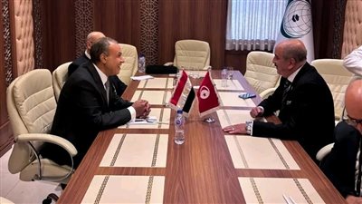 وزيرا خارجية مصر وتونس يبحثان العلاقات الثنائية والتطورات الإقليمية