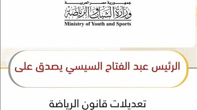 وزارة الشباب توقف انتخابات الأندية بعد تعديل قانون الرياضة