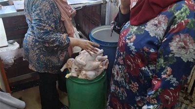 حملات تفتيشية تحرر44 محضر مخالفات وتعدم مواد غذائية مجهولة المصدر ببركة السبع