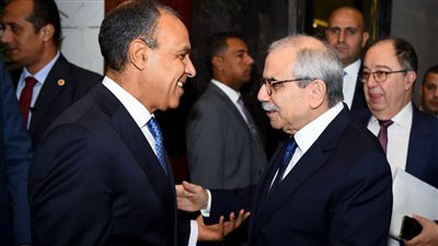 وزير الخارجية: مصر تقدر جهود رئيس وزراء لبنان للحفاظ على استقرار بلاده