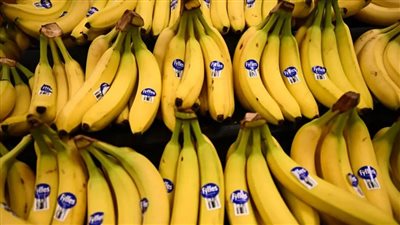 كيف يهدد تغير المناخ محصول الموز حول العالم؟