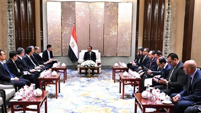 «رئيس الوزراء»: الدولة توفر الكثير من المزايا والحوافز للمستثمرين الأجانب والمحليين