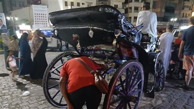 بالصور.. حملة موسعة لضبط عربات الكاور والحنطور المخالفة في الأقصر