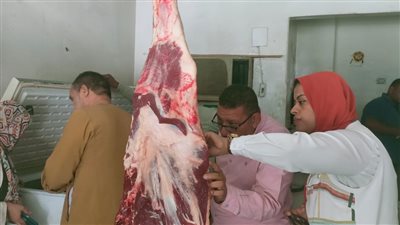 بالصور.. ضبط 3 محلات جزارة لذبحهم خارج المجزر الحكومى في الأقصر