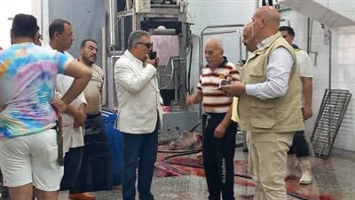 محافظ الدقهلية يتفقد مجزر المنصورة بميت الكرما 