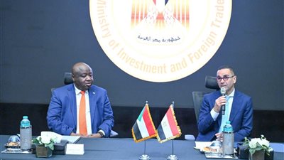 وزير الاستثمار يبحث مع وزير المعادن السوداني سبل تعزيز العلاقات الاقتصادية