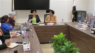 أبرزها التغذية المدرسية وبرنامج التقزم.. تفاصيل اجتماع نائبي وزارتي الصحة والتضامن 