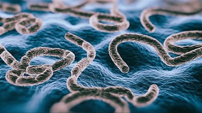 الإيبولا.. جائحة جديدة في الطريق قادمة من الكونغو