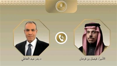 وزير الخارجية يبحث هاتفيا مع نظيره السعودي تطورات الأوضاع في غزة 