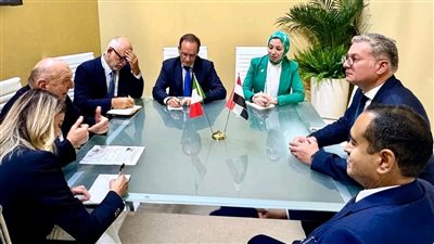 وزير البترول يبحث مع وزير البيئة وأمن الطاقة الإيطالي سبل التعاون بمجالات الطاقة والتعدين
