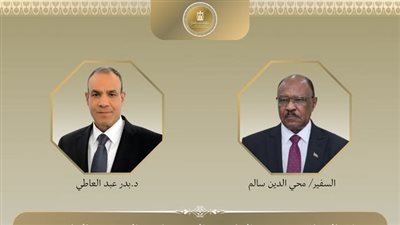 وزير الخارجية يهنئ نظيره السوداني بتوليه منصبه الجديد