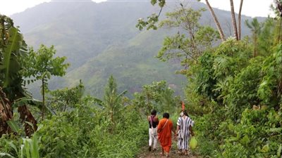 كيف يؤثر تدمير غابات الأمازون المطيرة على صحة الإنسان؟