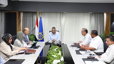 محافظ أسوان يلزم الشركات المنفذة بإنهاء مشروعات بالمرحلة الأولى بـ 