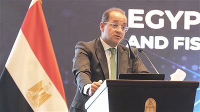 وزير المالية: مصر تسير على الطريق الصحيح.. والقطاع الخاص أثبت قدرته على المنافسة