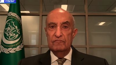مندوب الجامعة العربية لدى أمريكا: مبادرة مصرية سعودية لتعزيز الأمن الجماعي العربي