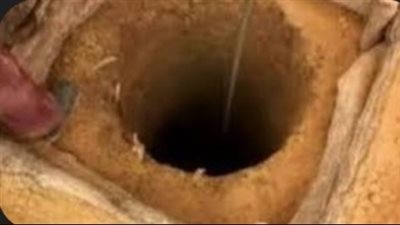 ضبط عدد من الأشخاص أثناء التنقيب عن الآثار داخل مستوصف بقنا