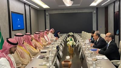 وزير الخارجية يلتقي وزير الصناعة السعودي.. تفاصيل