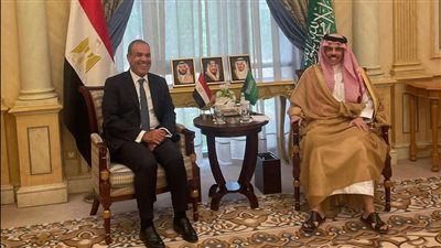 القاهرة والسعودية تعربان عن ارتياحهما لخطوات تفعيل مجلس التنسيق الأعلى المصري السعودي 