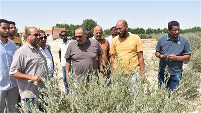 رئيس «مياه الأقصر» يتفقد الأعمال الجارية للغابات الشجرية بالرواجح (صور)