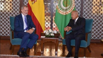 «أبوالغيط» يؤكد لملك إسبانيا ضرورة تنفيذ حل الدولتين ووقف إسرائيل عن إبادة غزة