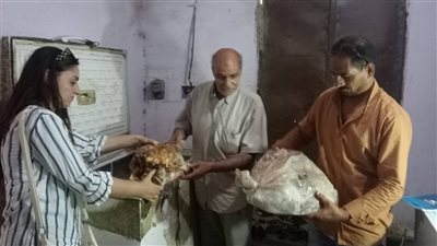 ضبط طن ونصف لحوم فاسدة داخل مطعم وهابير مشهور بمغاغة بالمنيا 