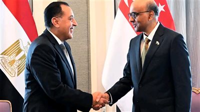 تفاصيل لقاء «مدبولي» برئيس سنغافورة في مقر إقامته بمصر 