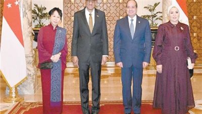 السيسى: نقدر المساعدات الإنسانية من سنغافورة لقطاع غزة