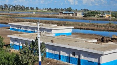 حماية البحيرات