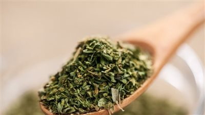 عشبة الأوريجانو الطبية.. تكافح البكتريا وتعزز المناعة