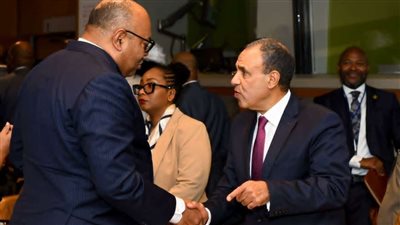 وزير الخارجية لنظيره التنزاني: التوافق الضمان الوحيد لتحقيق المصالح المشتركة بمنطقة حوض النيل