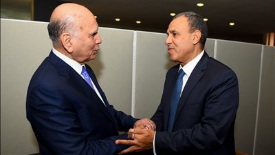 وزير الخارجية يؤكد لنظيره العراقي دعم مصر الكامل لوحدة واستقلال بلاده