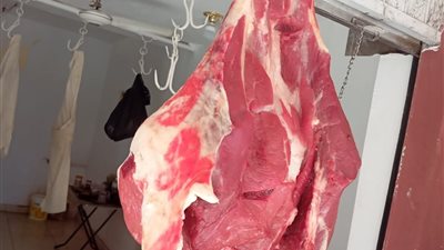 بالصور.. ضبط لحوم بلدية ذبحت خارج المجزر الحكومى في الأقصر