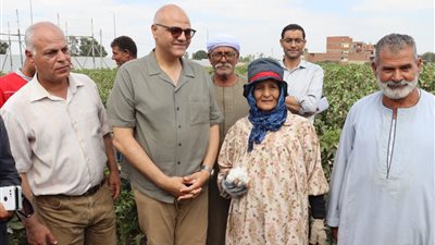 محافظ القليوبية يشهد انطلاق موسم حصاد القطن ويشيد بجودة محصول 