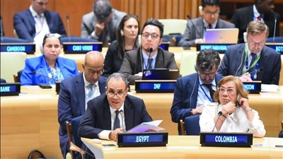 وزير الخارجية يؤكد دعم مصر للقرار الأممي بتخصيص موارد لصندوق بناء السلام 