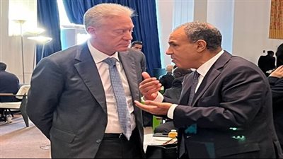 وزير الخارجية: مصر ترفض الممارسات الإسرائيلية التي تنتهك سيادة لبنان والقانون الدولي 